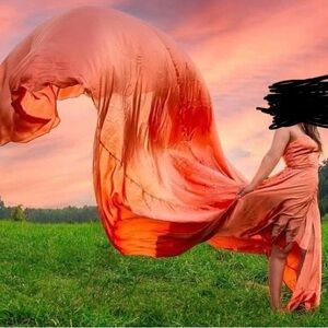 Rose Gold Flying Dress for Photoshoots | Photographers | Models | Studios